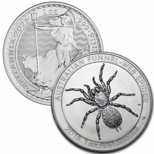 1oz Britannia Funnel Web Silver coin